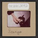 [Peggy Muray and her cat George (travel slide)]