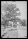 1907