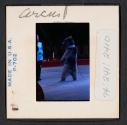 [Circus bear (travel slide)]