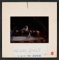 [Circus performers and horses (travel slide)]