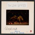 [Circus performers and elephants (travel slide)]