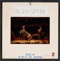[Circus performers and elephants (travel slide)]