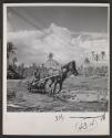 [Two U.S. soldiers with a horse on Leyte Island, Philippines]