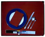 [Place setting on table with no food (advertisement)]