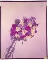 [Flower bouquet (advertisement)]