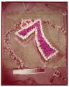 [Tulips arranged in the number seven]