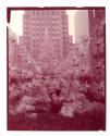 [Rockefeller Center Christmas tree]