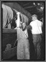 [Two men Dyeing Yarn in Tall Vat]