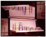 Bermuda Stripes (Lever Brothers)