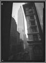 [Empire State, View from Street]