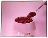 [Bowl of dog food with spoon]