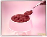 [Bowl of dog food with spoon]