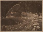 The Brook