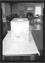 [Baby in Box With Thermometer]
