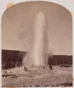 Old Faithful in Eruption