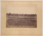 Wagon Park, Brandy Station, Virginia.