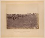 Battery D, Fifth U. S. Artillery, in Action, Fredericksburg, Virginia.