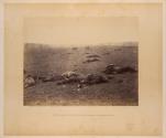 A Harvest of Death, Gettysburg, Pennsylvania.