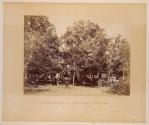 Head-Quarters New York Herald, Army of the Potomac, Bealton