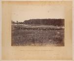 Battery A, Fourth U. S. Artillery, Robertson's Brigade.