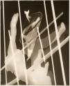 [Photogram]