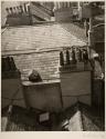 Brighton Roof Tops