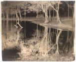 [Pool with trees and reflections]