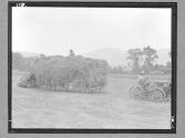 [Haying/Tractor]