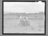 [Man with Team of Horses]