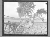[Farmer sitting on Plow]