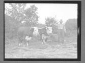 [Portrait of Farmer/Plowing]