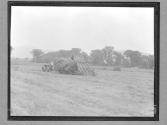 [Load of Hay on Wagon]