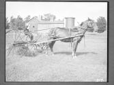 Raking N. Eng. Farm/Haying