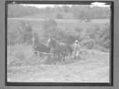 [Man Plowing with Team of Horses]