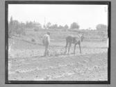 Rural Work