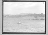 Rural Work