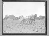 Rural Work