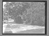 [Residential Street]