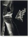 Untitled 195