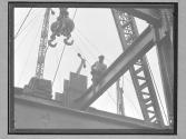 [Steel Worker on Empire State]