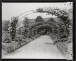 [The Clos Normand, Claude Monet's Garden]