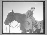 Man On Horse Leading Food Train On 11th Ave./ Food Industry