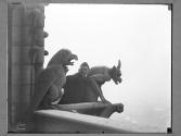 [Soldier At Notre Dame Cathedral]