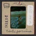 [Nicholas Christopher Muray at a beach, California (travel slide)]