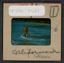 [Nicholas Christopher Muray at a beach, California (travel slide)]