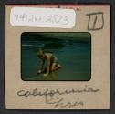 [Nicholas Christopher Muray at a beach, California (travel slide)]