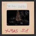 [Christmas tree (travel slide)]