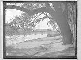 River and Bridge