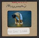 [Mimi Muray swimming with a woman (travel slide)]