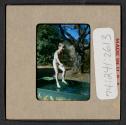 [Mimi Muray playing in a pool (travel slide)]